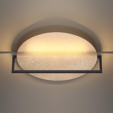 Настенно-потолочный светильник Lunar 7016/20WL