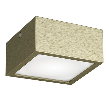 Влагозащищенный светильник Lightstar 213921