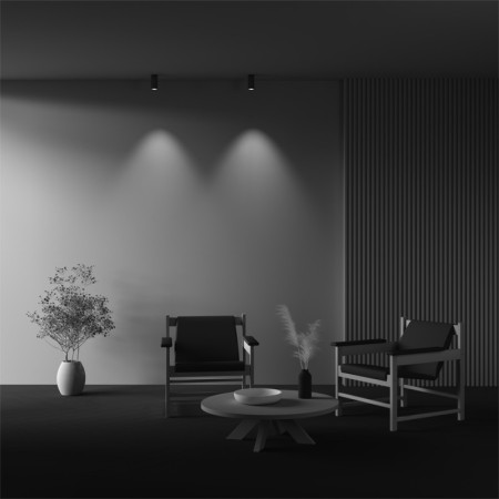 Накладной светильник Maytoni Technical C056CL-L12W4K-W-BS