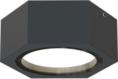 Потолочный светильник уличный Fantum 4667-1U