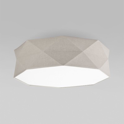 Накладной светильник TK Lighting 6195