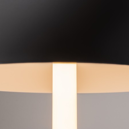 Интерьерная настольная лампа Ray Z012TL-L8B3K