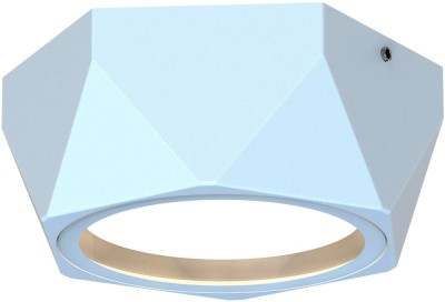 Потолочный светильник уличный Fantum 4668-1U