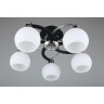 Накладная люстра Omnilux OML-25407-05