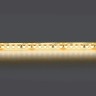 Светодиодная лента Lightstar 421054