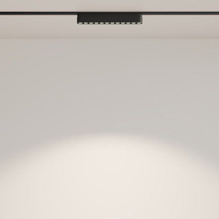 Светильник на шине Maytoni Technical TR082-1-12W4K-M-B