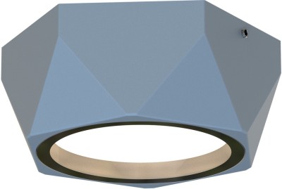 Потолочный светильник уличный Fantum 4669-1U