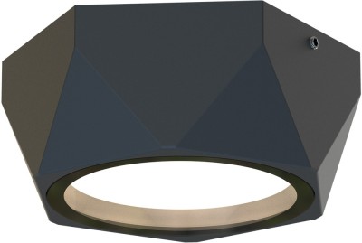 Потолочный светильник уличный Fantum 4670-1U