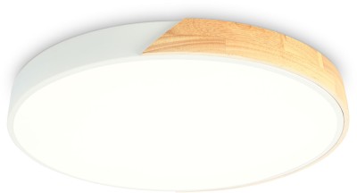 Потолочный светильник ORBITAL FZ1301