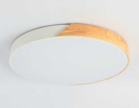 Потолочный светильник ORBITAL FZ1301