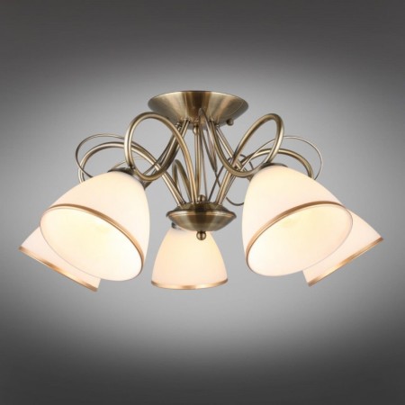 Накладная люстра Omnilux OML-25307-05