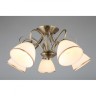Накладная люстра Omnilux OML-25307-05