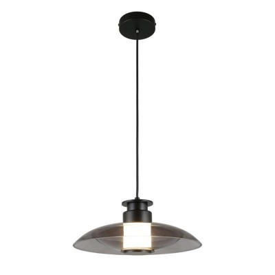 Подвесной светильник APLOYT APL.648.06.10