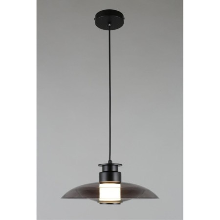 Подвесной светильник APLOYT APL.648.06.10