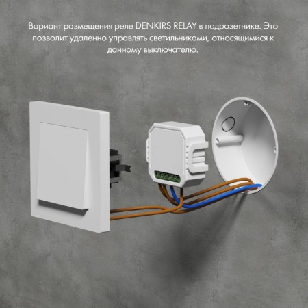 Wi-Fi реле Denkirs RL1003-DM/1
