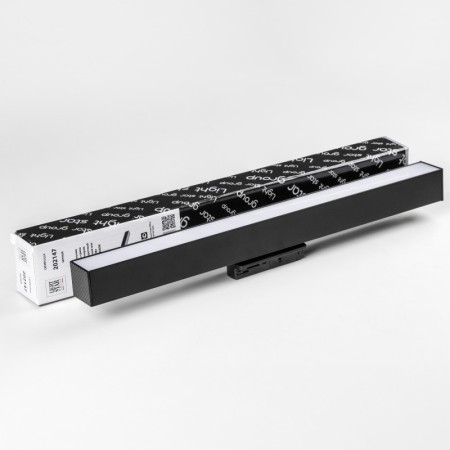 Светильник на шине Lightstar 202147