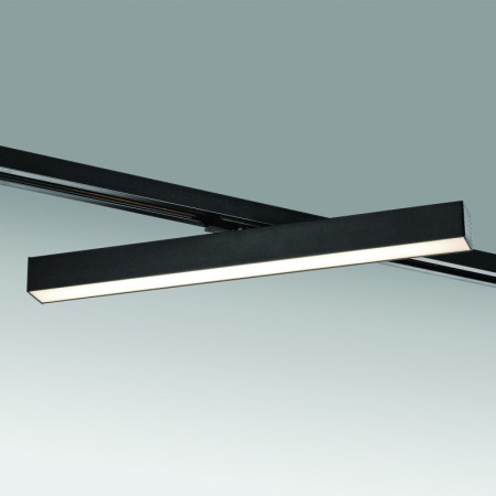 Светильник на шине Lightstar 202147