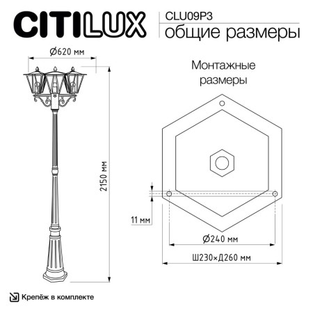 Садово-парковый светильник Citilux CLU09P3