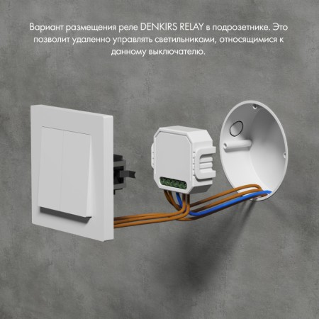 Wi-Fi реле Denkirs RL1004-DM/1