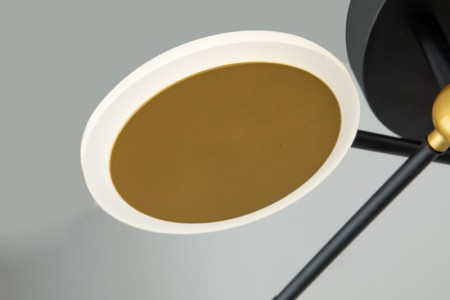 Накладная люстра Escada 10247/8LED