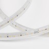 Лента Elektrostandard LS014 220V8W 60Led 2835 IP65 4200