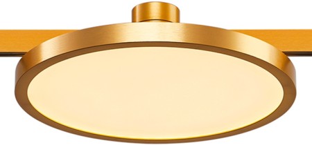 Трековый светильник Farm ST818.206.12