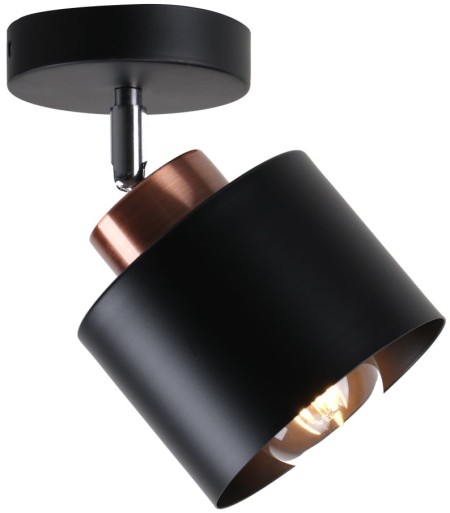 Спот  SP.024-11-52