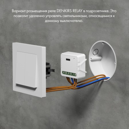 Wi-Fi реле Denkirs RL1003-DM