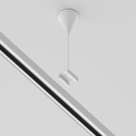 Подвесной комплект Accessories for tracks Trinity TRA005WS-31W