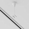 Подвесной комплект Accessories for tracks Trinity TRA005WS-31W