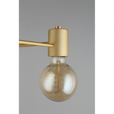 Накладная люстра APLOYT APL.911.07.05